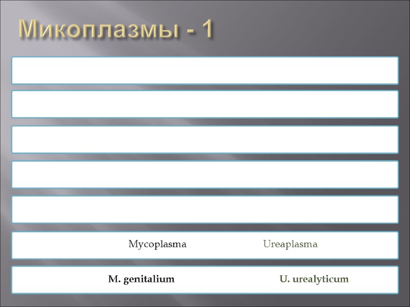 Микоплазмы - 1 KINGDOM DIVISION CLASS ORDER FAMILY GENUS SPECIES Bacteria  Firmicutes Mollicutes